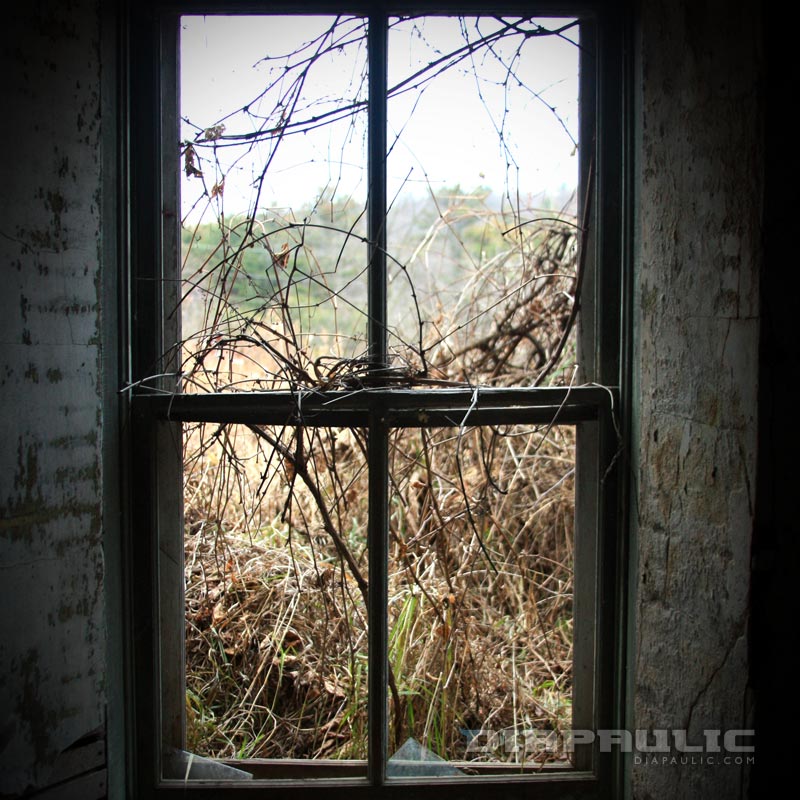 Diapaulic Design Photography - Open Window