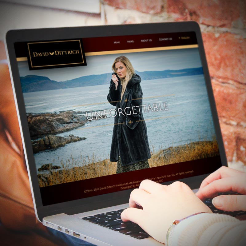 David Dittrich responsive website design